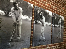 Arnold Palmer Swing Series Triptych **sold**